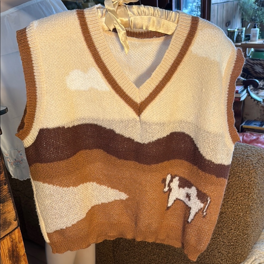 Brown and Cream Knit Vest